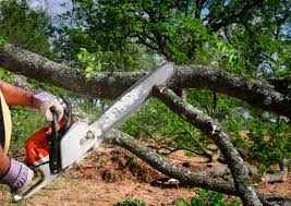 Lawn Irrigation Installation and Maintenance in Utica, SC